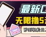 【高端精品】最新无撸5元E卡项目，无限接码秒到，一单利润3.5，轻松日入破千-小鸿资源库