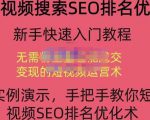 宋老师·短视频搜索SEO优化，教你10分钟创作一个短视频，三天排名上第一-小鸿资源库