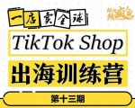 TikTokShop出海训练营（第十三期），打开全球流量新思维，出海抢占全球新流量，一店卖全球-小鸿资源库