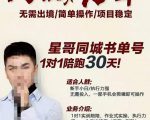 星哥同城教育书单号课程，无需出境简单操作项目稳定-小鸿资源库