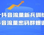 Peter抖音流量新兵训练营-破解抖音流量密码群爆训练营(新兵)-小鸿资源库