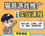 猫哥·游戏推广实战课程，单视频收益达6位数，从0到1成为优质游戏达人-小鸿资源库