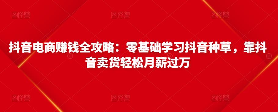 抖音电商赚钱全攻略：零基础学习抖音种草，靠抖音卖货轻松月薪过万-小鸿资源库