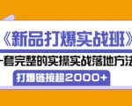 凌童《新品打爆实战班》,一套完整的实操实战落地方法，打爆链接超2000+（28节课)-小鸿资源库