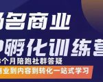 杨名商业IP孵化训练营，从商业到内容到转化一站式学 价值5980元-小鸿资源库