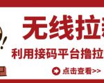最新接码无限拉新项目,利用接码平台赚拉新平台差价,轻松日赚500+-小鸿资源库