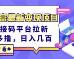 东方财富最新变现项目,利用接码平台拉新,多号多撸,日入几百无压力-小鸿资源库