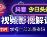 嚴如意·中视频影视解说—掌握流量密码,自媒体运营创收,批量运营账号-小鸿资源库