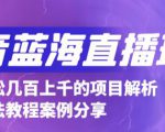 抖音最新蓝海直播玩法，3分钟赚30元，一天轻松1000+，只要你去直播就行【详细玩法教程】-小鸿资源库