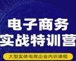 民赛电气内部出品：电子商务实战特训营，全方位带你入门电商，308种方式玩转电商-小鸿资源库