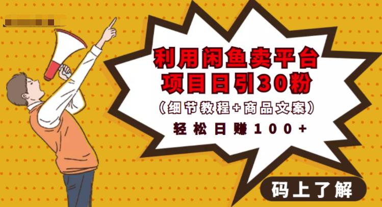利用闲鱼卖平台项目课程资源日引流30+精准粉丝,轻松日赚100+,积累人脉可实现二次变-小鸿资源库