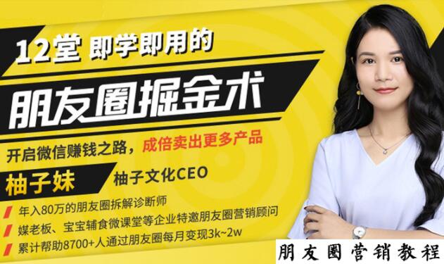 【营销必学】12堂学之即用的朋友圈掘金术：开启你的副业赚钱之路-小鸿资源库