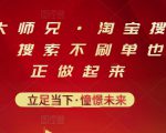 电商大师兄·淘宝搜索新玩法，搜索不刷单也能真正做起来-小鸿资源库