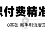 玩转知识付费项目精准引流，给你1套课多账号操作落地方案！-小鸿资源库