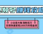 玩转微信视频号赚钱：小白变大咖涨粉百万实现快速变现1000万的现金流-小鸿资源库