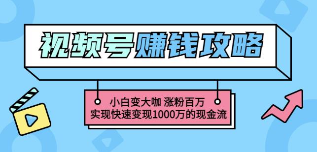 玩转微信视频号赚钱：小白变大咖涨粉百万实现快速变现1000万的现金流-小鸿资源库