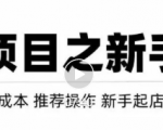 虚拟项目快速起店模式，0成本打造月入几万虚拟店铺！-小鸿资源库