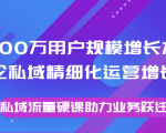 8000万用户规模增长方法论私域精细化运营增长，私域流量硬课助力业务跃迁-小鸿资源库