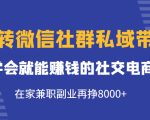 玩转微信社群私域带货,学会就能赚钱的社交电商,在家兼职副业再挣8000+-小鸿资源库