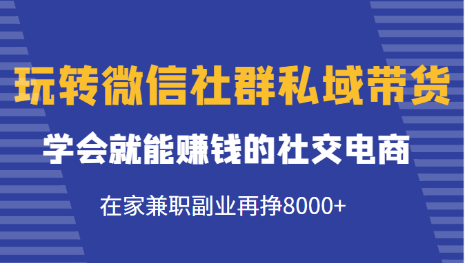 玩转微信社群私域带货，学会就能赚钱的社交电商，在家兼职副业再挣8000+-小鸿资源库