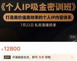 个人IP吸金密训班,打造高价值高效率的个人IP内容体系(价值12800元)-小鸿资源库