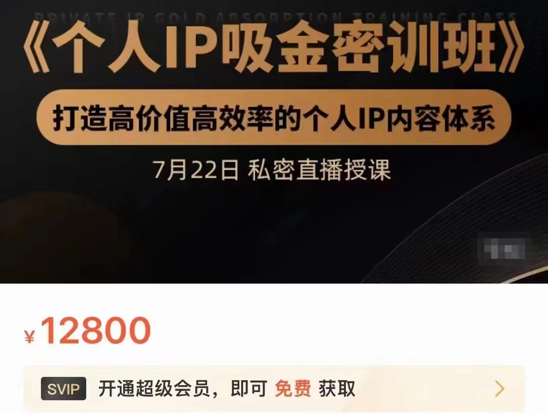个人IP吸金密训班，打造高价值高效率的个人IP内容体系（价值12800元）-小鸿资源库