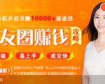 全网千万人气导师亲授：零基础/易上手的朋友圈赚钱攻略，让你轻松月入过万-小鸿资源库