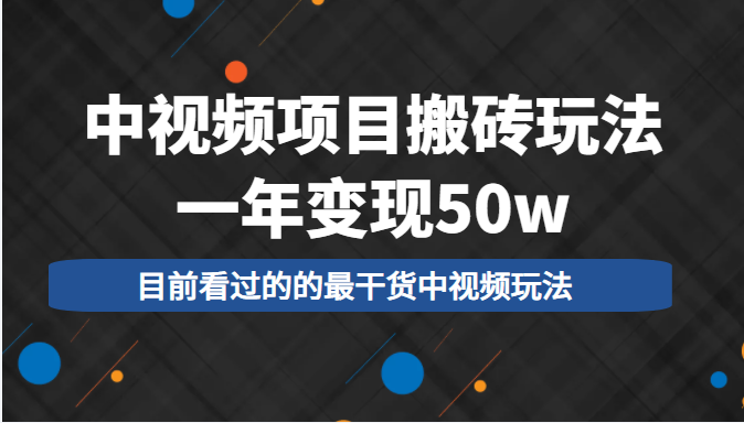 中视频项目搬砖玩法，一年变现50w，目前看过的的最干货中视频玩法-小鸿资源库