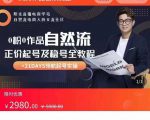 0粉0作品自然流正价起号及稳号全教程，专业自然流起号机构流程化教学（价值2980元）-小鸿资源库