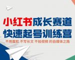 小红书成长赛道快速起号训练营，不露脸不写长文不拍视频，0粉丝冷启动变现之路-小鸿资源库