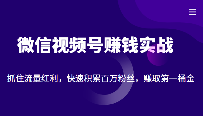 微信视频号赚钱实战:抓住流量红利,快速积累百万粉丝,赚取你的第一桶金-小鸿资源库