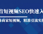 抖音短视频Seo搜索排名优化新手快速入门教程，实体商家短视频，精准引流实操课-小鸿资源库