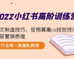 2022小红书高阶训练营：爆文制造技巧，低预算高roi投放技巧，内容营销思维-小鸿资源库