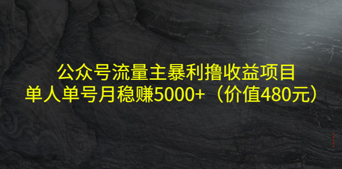 公众号流量主暴利撸收益项目,单人单号月稳赚5000+(价值480元)-小鸿资源库