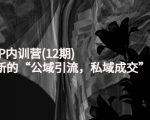 新媒体IP内训营(12期)，一套全新的“公域引流，私域成交”IP打法，直接带走-小鸿资源库