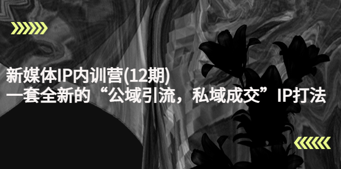 新媒体IP内训营(12期),一套全新的“公域引流,私域成交”IP打法,直接带走-小鸿资源库