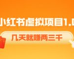 《小红书虚拟项目1.0》账号注册+养号+视频制作+引流+变现,几天就赚两三千-小鸿资源库