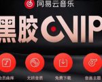 网易云音乐撸黑胶年卡及变现方法，收益可无限放大-小鸿资源库