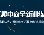 兴趣电商全新训练营：打破品销边界，带你玩转“兴趣电商“实现业务增长-小鸿资源库