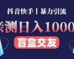 日收益1000+的交友盲盒副业丨有手就行的抖音快手暴力引流-小鸿资源库
