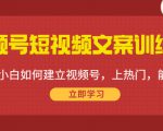 视频号短视频文案训练营:0基础小白如何建立视频号,上热门,能卖货!-小鸿资源库