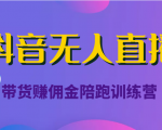 抖音无人直播带货赚佣金陪跑训练营（价值6980元）-小鸿资源库