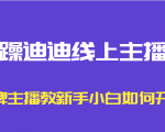 暴躁迪迪线上主播课，金牌主播教新手小白如何开播-小鸿资源库