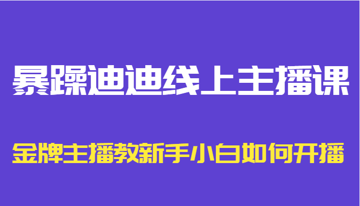 暴躁迪迪线上主播课，金牌主播教新手小白如何开播-小鸿资源库