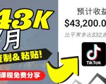 2022抖音国际版Tiktok赚钱项目：每天上传一个视频就轻松月入$43200-小鸿资源库