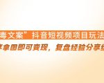 “毒文案”抖音短视频项目玩法，小程序拿图即可变现，复盘经验分享给大家-小鸿资源库