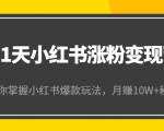 21天小红书涨粉变现营(第4期):带你掌握小红书爆款玩法,月赚10W+秘密-小鸿资源库