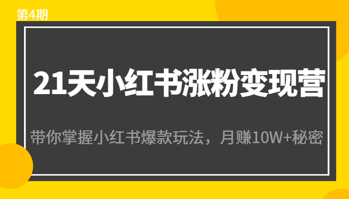 21天小红书涨粉变现营（第4期）：带你掌握小红书爆款玩法，月赚10W+秘密-小鸿资源库