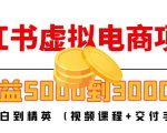 小红书虚拟电商项目：从小白到精英 月收益5000到30000 (视频课程+交付手册)-小鸿资源库