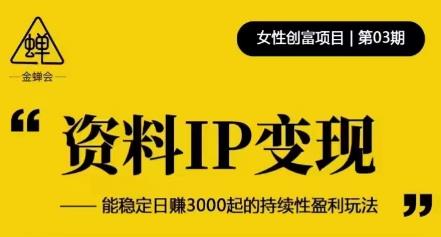 资料IP变现,能稳定日赚3000起的持续性盈利玩法-小鸿资源库